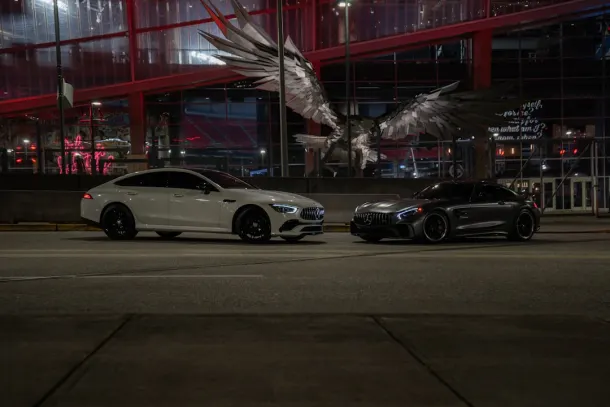 Wild Ccasino Kasino Apl Android/iOS